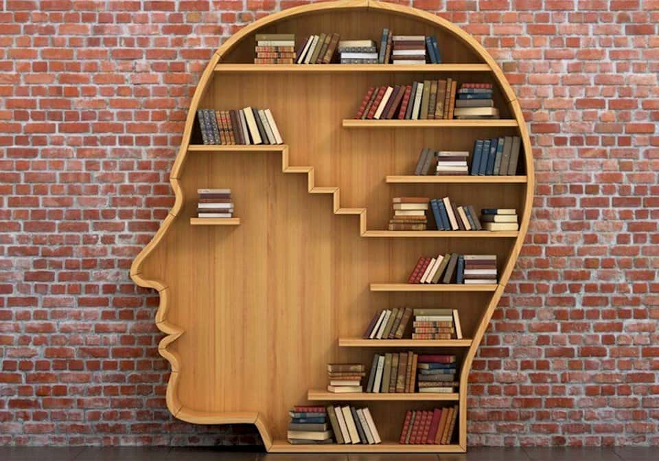 Prateleira de Livros em formato de cabeça humana