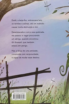 Livro A Beija-Flor e o Girassol - Resumo, Resenha, PDF, etc.