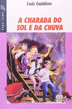 Livro A Charada do Sol e da Chuva - Resumo, Resenha, PDF, etc.