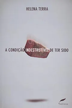 Livro A Condição Indestrutível De Ter Sido - Resumo, Resenha, PDF, etc.