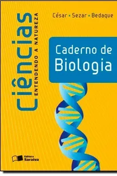 Capa do livro A Grande Idéia