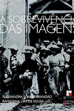 Livro A Sobrevivência das Imagens - Resumo, Resenha, PDF, etc.