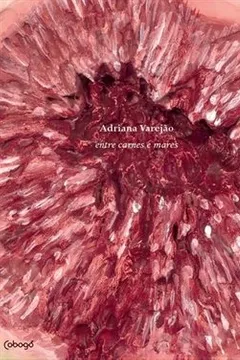 Livro Adriana Varejão - Resumo, Resenha, PDF, etc.