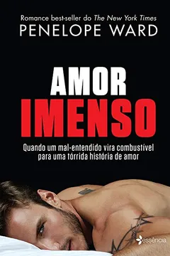 Livro Amor Imenso - Resumo, Resenha, PDF, etc.