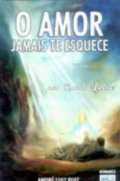 Livro Amor Jamais Te Esquece - Resumo, Resenha, PDF, etc.