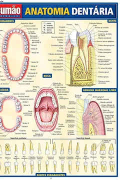 Livro Anatomia Dentária - Resumo, Resenha, PDF, etc.