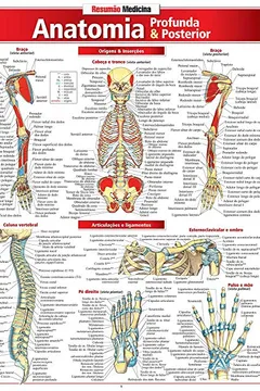 Livro Anatomia Profunda e Posterior - Resumo, Resenha, PDF, etc.