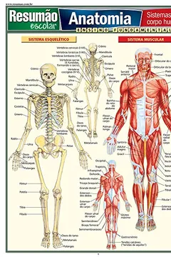 Livro Anatomia. Sistemas do Corpo Humano - Resumo, Resenha, PDF, etc.