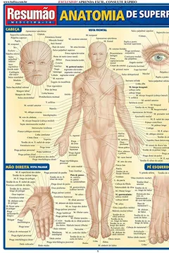 Livro Anatomia Superficial - Resumo, Resenha, PDF, etc.