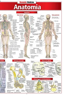 Livro Anatomia - Resumo, Resenha, PDF, etc.