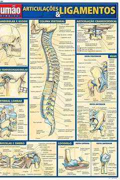 Livro Articulações e Ligamentos - Resumo, Resenha, PDF, etc.