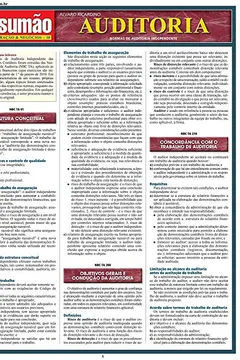 Livro Auditoria - Resumo, Resenha, PDF, etc.