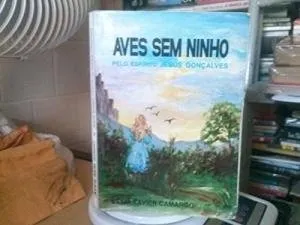 Livro Aves sem Ninho - Resumo, Resenha, PDF, etc.