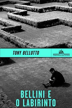 Livro Bellini e o Labirinto - Resumo, Resenha, PDF, etc.