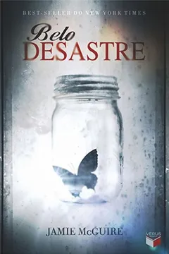 Livro Belo Desastre - Resumo, Resenha, PDF, etc.