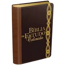 Livro Bíblia de Estudo Colorida - Marrom - Resumo, Resenha, PDF, etc.