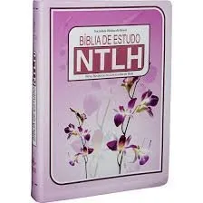 Livro Bíblia de Estudo NTLH - Resumo, Resenha, PDF, etc.