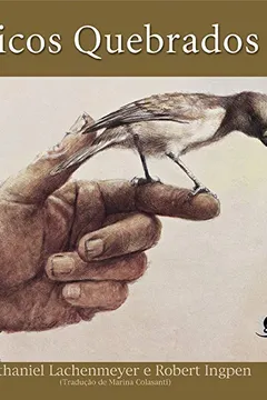 Livro Bicos Quebrados - Resumo, Resenha, PDF, etc.