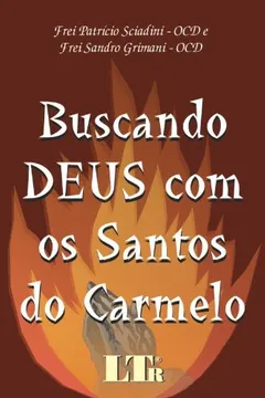 Livro Buscando Deus com os Santos do Carmelo - Resumo, Resenha, PDF, etc.