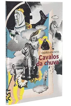 Livro Cavalos da Chuva - Resumo, Resenha, PDF, etc.