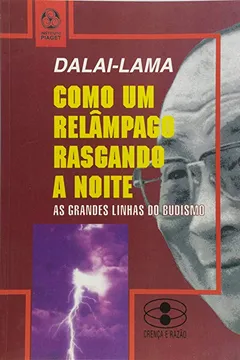 Livro Como Um Relâmpago Rasgando a Noite - Resumo, Resenha, PDF, etc.