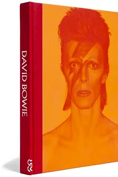 Livro David Bowie Está Aqui - Resumo, Resenha, PDF, etc.