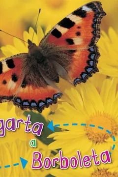 Livro De Lagarta a Borboleta - Resumo, Resenha, PDF, etc.