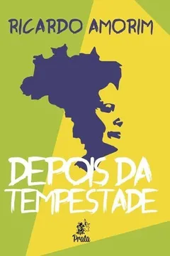 Livro Depois da Tempestade - Resumo, Resenha, PDF, etc.