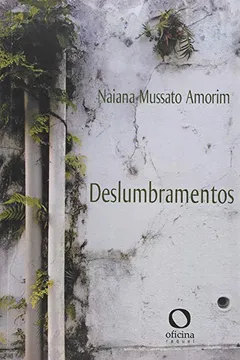 Livro Deslumbramentos - Resumo, Resenha, PDF, etc.