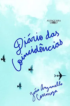 Livro Diário das Coincidências - Resumo, Resenha, PDF, etc.