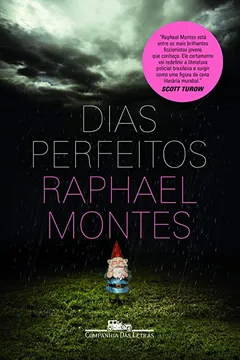 Livro Dias Perfeitos - Resumo, Resenha, PDF, etc.