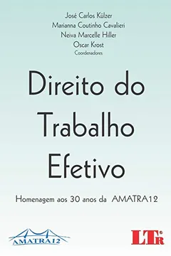 Livro Direito do Trabalho Efetivo. Homenagem aos 30 Anos da AMATRA 12 - Resumo, Resenha, PDF, etc.