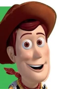 Livro Disney. Carinhas. Woody - Resumo, Resenha, PDF, etc.
