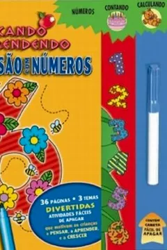 Livro Diversão Com Números - Resumo, Resenha, PDF, etc.