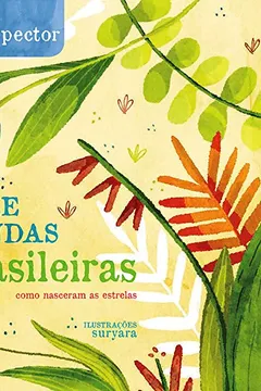 Livro Doze Lendas Brasileiras - Resumo, Resenha, PDF, etc.