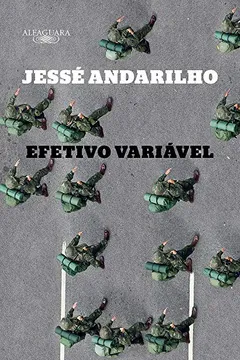 Livro Efetivo Variável - Resumo, Resenha, PDF, etc.