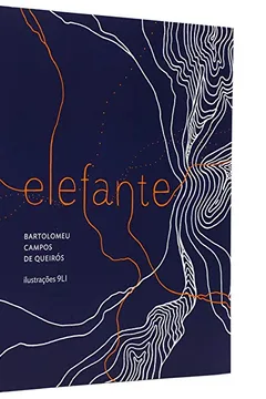 Livro Elefante - Resumo, Resenha, PDF, etc.