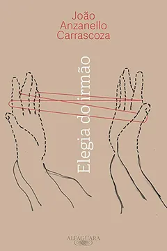 Livro Elegia do irmão - Resumo, Resenha, PDF, etc.