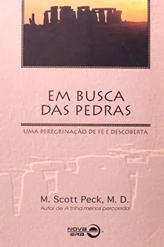 Livro Em Busca Das Pedras - Resumo, Resenha, PDF, etc.