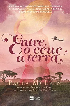 Livro Entre o Céu e a Terra - Resumo, Resenha, PDF, etc.