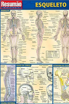 Livro Esqueleto - Resumo, Resenha, PDF, etc.