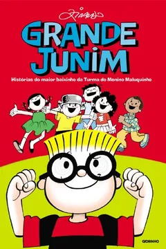 Livro Grande Junim. Histórias Do Maior Baixinho Da Turma Do Menino Maluquinho - Resumo, Resenha, PDF, etc.