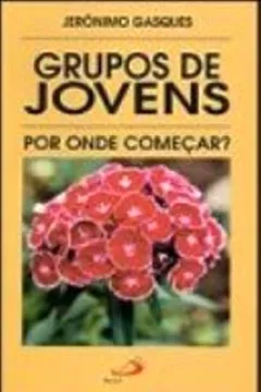 Livro Grupos De Jovens. Por Onde Começar? - Resumo, Resenha, PDF, etc.