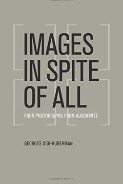 Livro Images in Spite of All: Four Photographs from Auschwitz - Resumo, Resenha, PDF, etc.