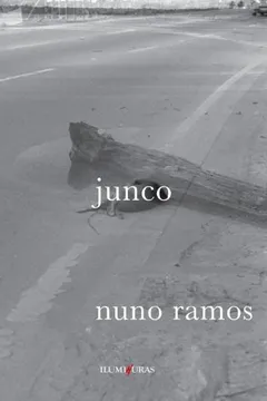 Livro Junco - Resumo, Resenha, PDF, etc.