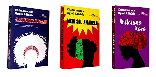 Livro Kit Chimamanda - Resumo, Resenha, PDF, etc.