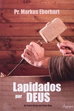 Livro Lapidados Por Deus - Resumo, Resenha, PDF, etc.