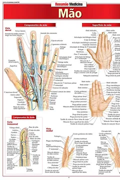 Livro Mão - Resumo, Resenha, PDF, etc.
