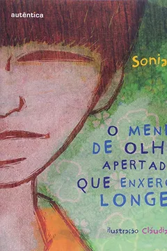 Livro Menino De Olhar Apertadinho Que Enxergava Longe..., O - Resumo, Resenha, PDF, etc.