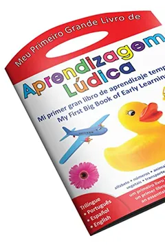 Livro Meu Primeiro Grande Livro de Aprendizagem Lúdica - Resumo, Resenha, PDF, etc.